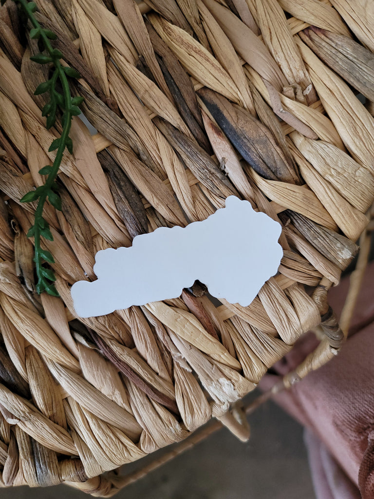 Wildflowers & Pistols Sticker