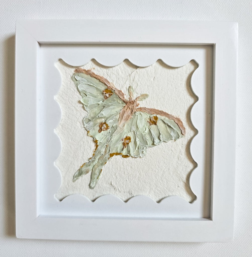 Luna Moth