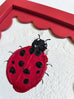 Ladybug (white)