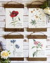 Wildflower Botanical Canvas Prints