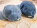 Mommy & Me Ball Caps