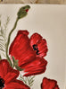 Poppies