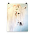 Calla Art Poster Print